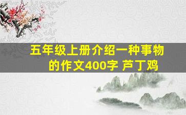 五年级上册介绍一种事物的作文400字 芦丁鸡